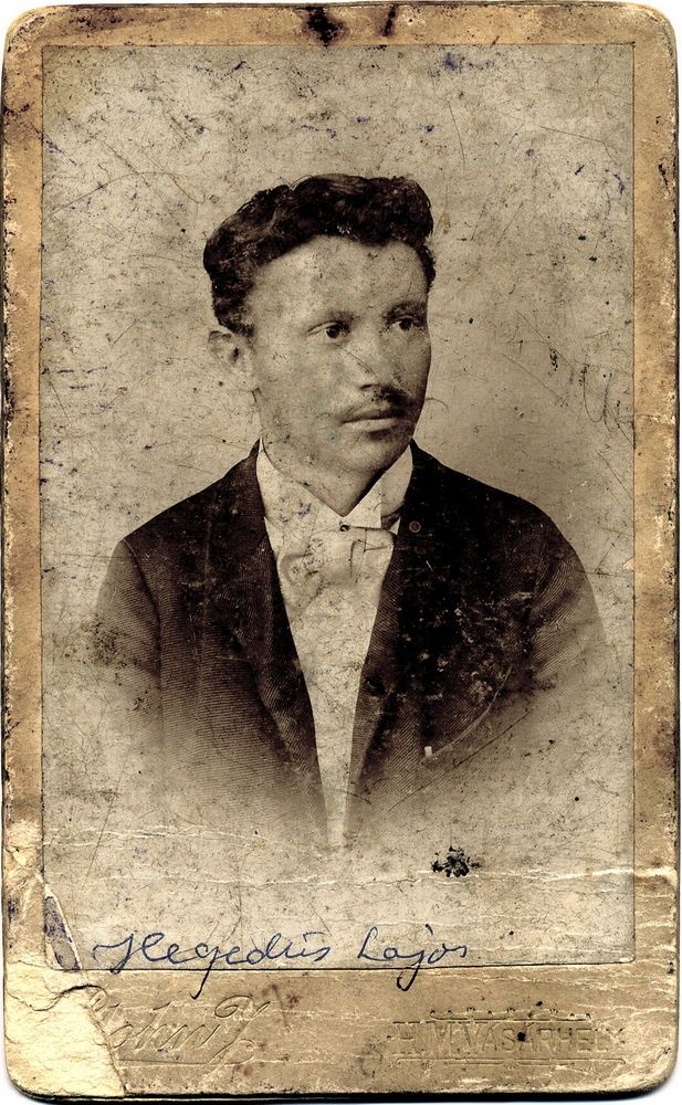 Plohn József: Hegedűs Lajos